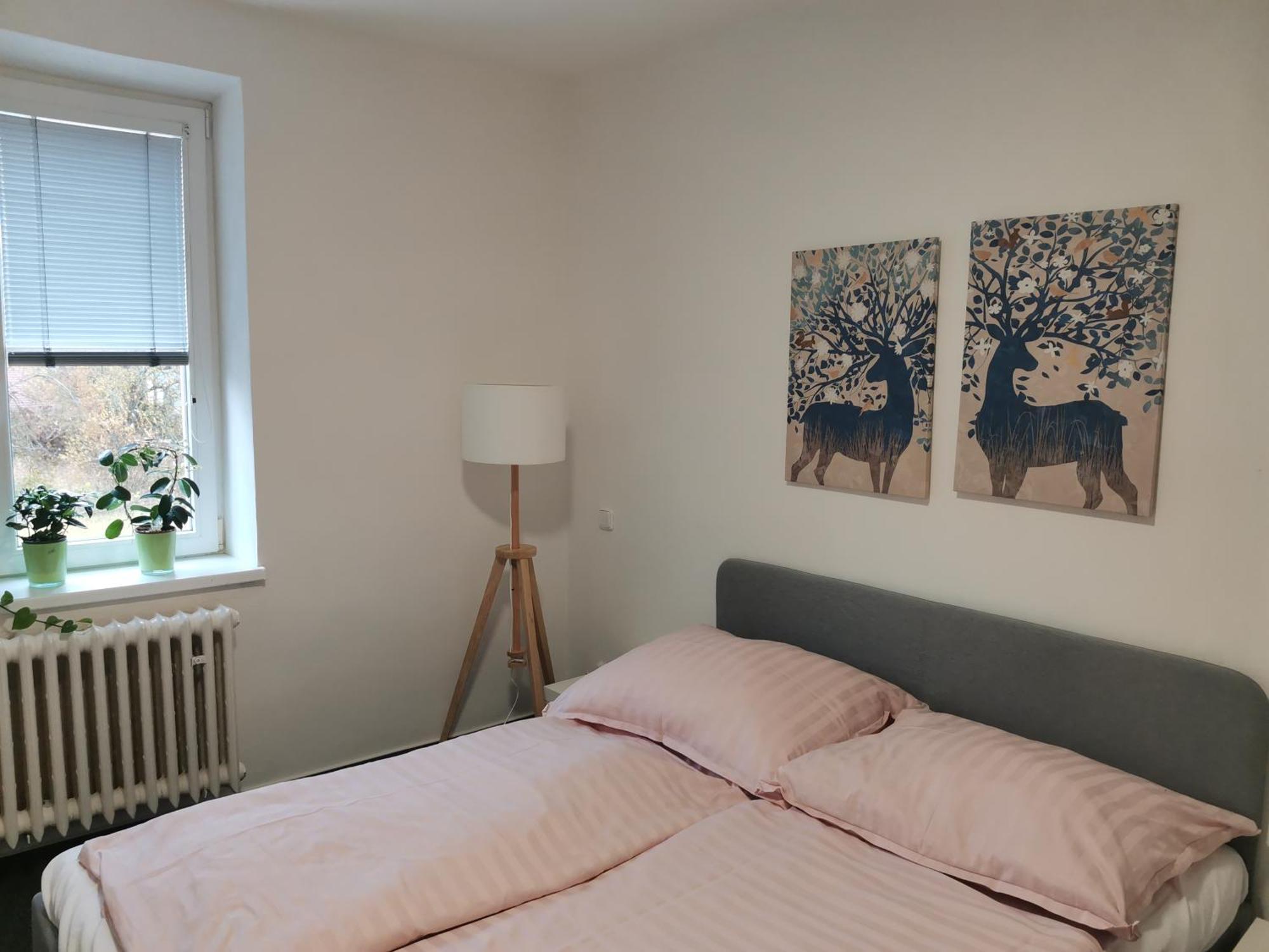 Apartmany Pekna 10 Nová Pec Екстериор снимка